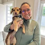 Dra. Ariane Portela — dermatologista veterinária na Lumivet em Curitiba