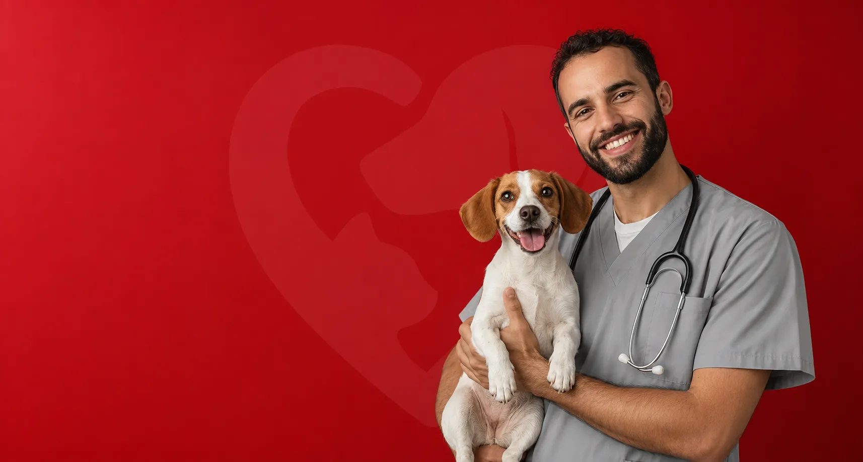 Clínica veterinária Lumivet com atendimento 24 horas em Curitiba