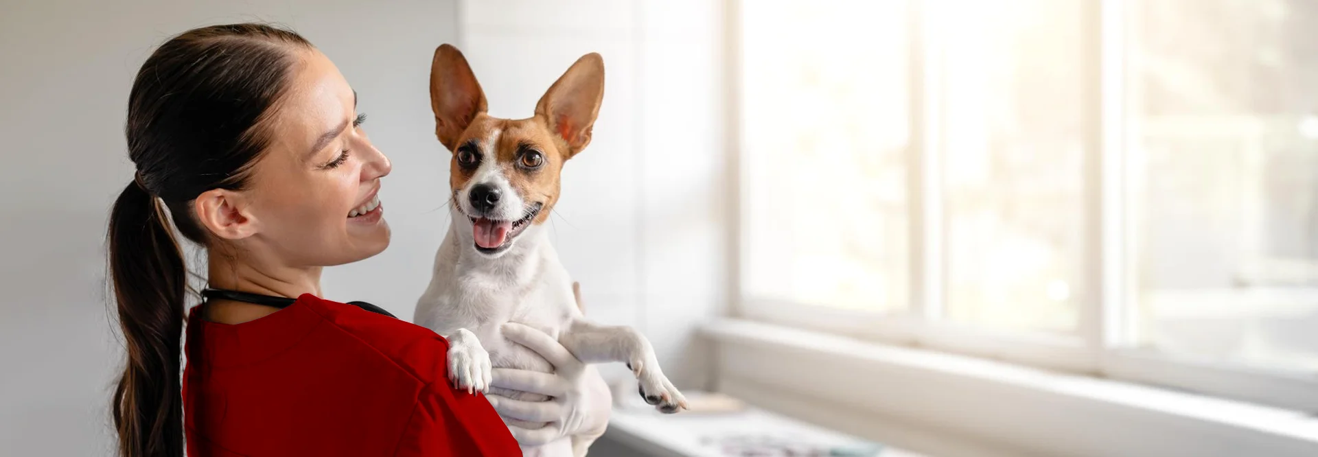 Conheça a Lumivet Clínica Veterinária em Curitiba